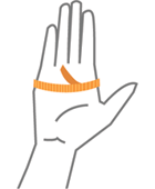 Yellow lines on a hand model showing where to measure width.