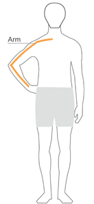 Yellow lines on a model showing where to measure arms.