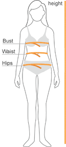 Yellow lines on a women’s model showing where to measure bust, height, hips and waist.